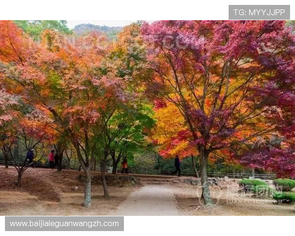 云顶山庄在哪：旅游季节与最佳访问时间分析