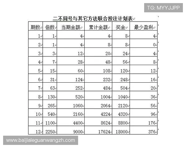 深入了解百家乐庄闲规则帮助玩家制定科学的投注计划与风险控制