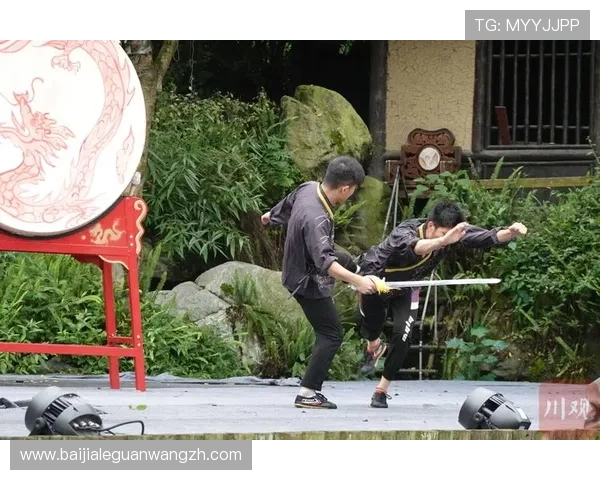 腾龙真人现场精彩瞬间回顾带你重温每一次震撼人心的武侠表演体验